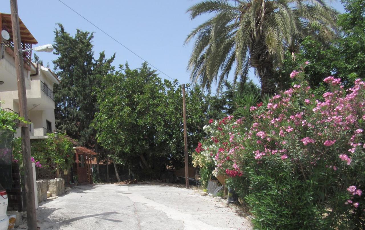 Ferienwohnung Simple Studio, Chloraka Paphos Exterior foto